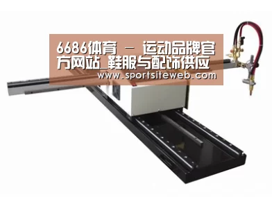案例展示一