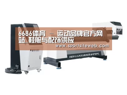 案例展示三