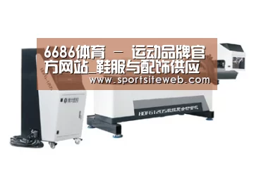 案例展示四