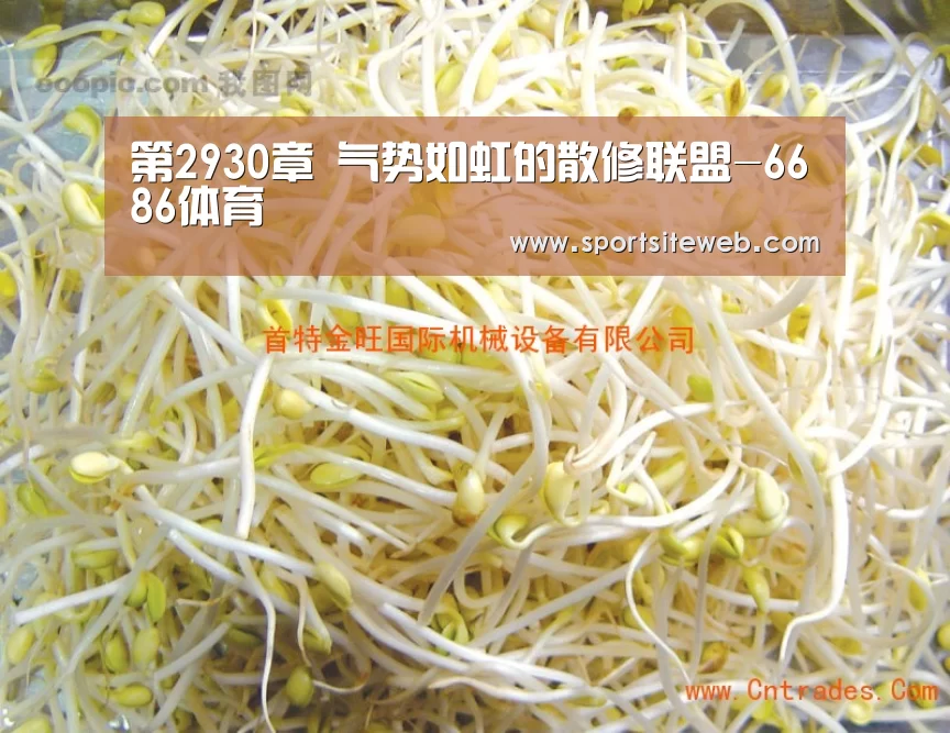 6686体育官网