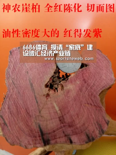 6686体育_摸清“家底”建设碳汇经济产业链(图2) 6686体育