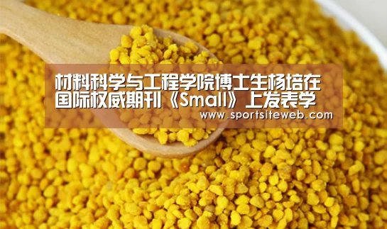 材料科学与工程学院博士生杨培在国际权威期刊《Small》上发表学术论文-6686体育官网(图2) 6686体育下载